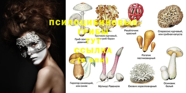 твердый Белоозёрский