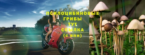 твердый Белоозёрский