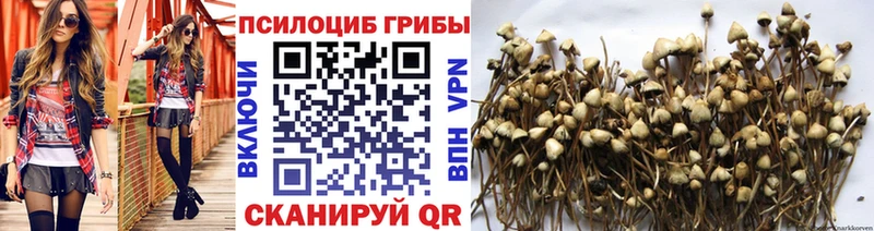 блэк спрут онион  Реж  Галлюциногенные грибы ЛСД 